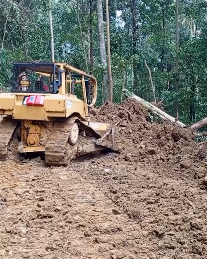 Amazing Bulldozer Working . #reelsfbシ #reelsfypシ゚ #reelsviralシ #reelstrending #reelsfb #reelsviral #Dozer #Bulldozer #heavyequipment #construction #Shantui #Komatsu #Dumptruck #Excavator #earthmoving | Bulldozer Forest