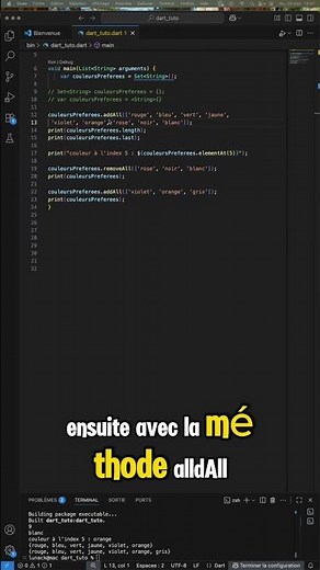 Comment ranger des éléments uniques ? #set #dart #tutorial