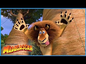 Hungry Alex tries to eat Marty | DreamWorks Madagascar