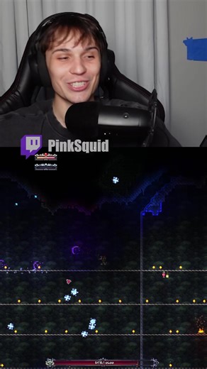 Pure joy and whimsy 🥹🙏 #terraria #terrariamemes #gaming #calamity