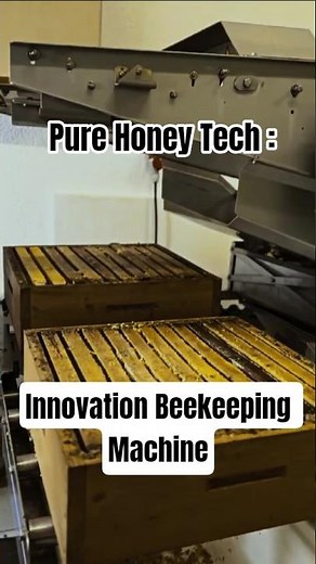 Machine Innovation Honey Harvest: Modern Honeycomb Extractor