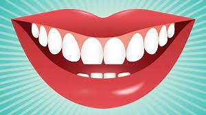 What are all the different types of teeth and why do we lose our baby teeth? - Fun Kids - the UK's children's radio station