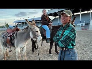 Setting Your Riding Donkey Up For Success