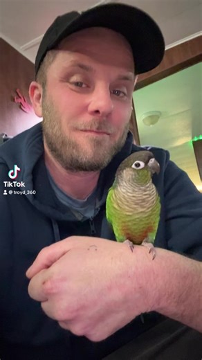 #mylittlebuddy #conure #parrot