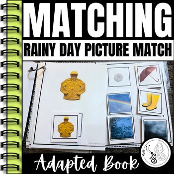 Spring Rainy Day Picture Match Adapted Book | SPED & Homeschool