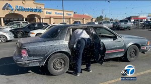 Woman stung 75 times in bee swarm and attack during family photo shoot