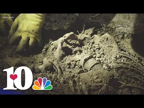The Body Farm: The Beginning
