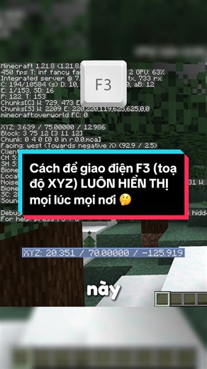 Cách Để Giao Điện F3 Trong Minecraft Luôn Hiển Thị