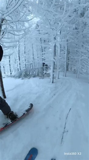 38K views · 761 reactions | Enjoy some glade skiing while weather cooperates! Fully open terrain and additional snowfall anticipated soon, we truly couldn’t ask for better conditions! #almostheaven #skiwv #wvstateparks | Canaan Valley Resort | Facebook