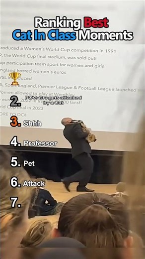 Ranking Best Cat In Class Moments