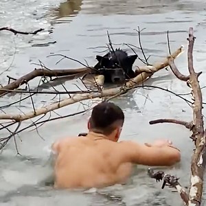 14K views · 260 reactions | This superhero is breaking through frozen ice to rescue a drowning dog! 流略 Credit: ViralHog | Hefty.co | Facebook