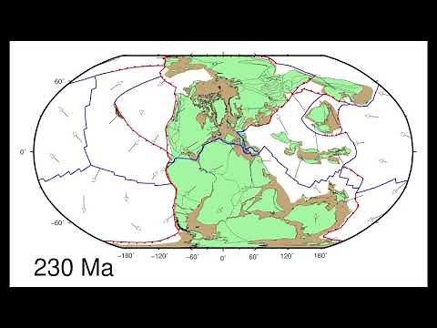 Global kinematics of tectonic plates and subduction zones since the late Paleozoic Period