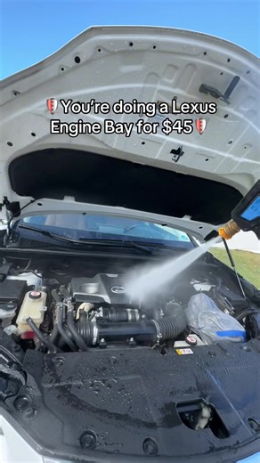 Reviving a Lexus NX300 Engine Bay to Perfection