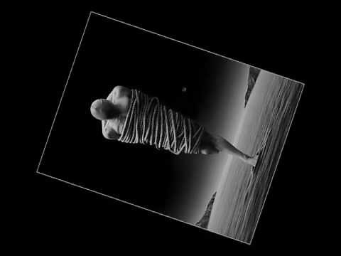 Skillet vs. Three Days Grace - Monster I Have Become (mashup)