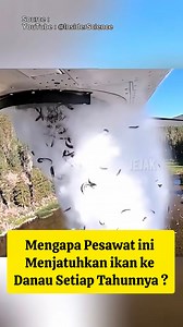 512K views · 5.5K reactions | Mengapa Pesawat ini Menjatuhkan ikan ke Danau Setiap Tahunnya #science #engineering #information #education #edukasi | Jejak | Facebook