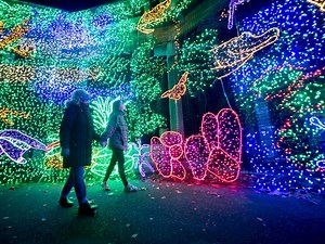 Oregon ZooLights Are Back: Here's What You Need To Know