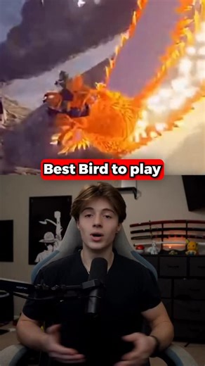 Shimo on Instagram: "Best bird to play in bird game"