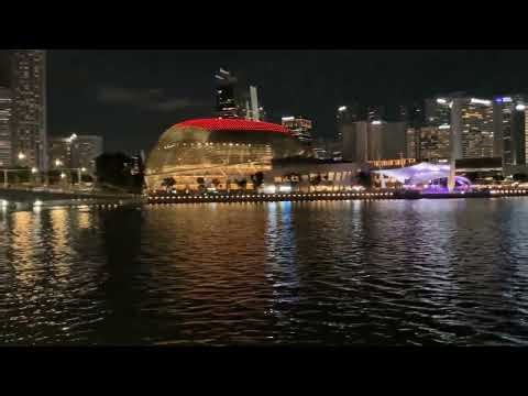 Exploring Singapore 🇸🇬 Night Lights at Merlion