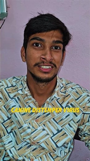 Asking Vet Students Tricky Questions,Part 2 | Can They Answer Correctly?