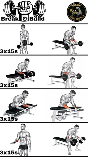 Forearms Workout ✅ Best Forearms Exercise 💯 #fitness #workout #exercise #forearms #shorts
