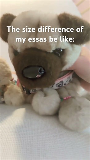 The size difference 😭😂 #funny #essa #helpmemakethismakesense