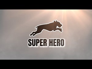 Super Hero - RunDownRiver