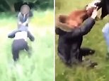 Shocking moment girl is punched in head and dragged through field