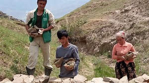 Integrated Watershed and Sustainable Land Management to Build the Resilience of Local Communities in Tajikistan