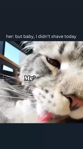 Love | Relationship | Quotes on Instagram: "日本利用压电瓷砖将脚步转化为电能。这些瓷砖捕捉来自你脚步的动能。当你行走时，你的重量和动作会对瓷砖产生压力。瓷砖会轻微弯曲，从而产生机械应力。瓷砖内部的压电材料将这种应力转化为电能。每一步都会产生少量电荷，而数百万步结合在一起就能产生足够的电力来驱动LED 灯、数字显示屏和传感器。在像涩谷车站这样繁忙的地方，每天大约有 240万个脚步为这一系统作出贡献。这些电能可以被储存或立即使用，从而减少对传统电力来源的依赖，并支持可持续的城市基础设施。这种方法将日常运动转化为实用的可再生能源＃日本#知识＃事实#你知道吗＃推荐 #科技 #创新 #历史 #技术#实验#热门日本利用压电瓷砖将脚步转化为电能。这些瓷砖捕捉来自你脚步的动能。当你行走时，你的重量和动作会对瓷砖产生压力。瓷砖会轻微弯曲，从而产生机械应力。瓷砖内部的压电材料将这种应力转化为电能。每一步都会产生少量电荷，而数百万步结合在一起就能产生足够的电力来驱动LED 灯、数字显示屏和传感器。在像涩谷车站这样繁忙的地方，每天大约有240万个脚步为这一系统作出贡