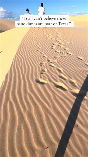 Explore the Monahans Sandhills: Texas Desert Oasis