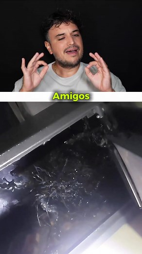 👽 SUPUESTO ALIEN EVOLUCIONA EN PANAMÁ 🛸 #alien #alertaOVNI #Panamá #venom | Geru