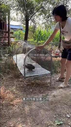 🦢🦆🐔🐓Versatile Outdoor Metal Mesh Folding Bench and Garden Furniture🦢🦆🐔🐓