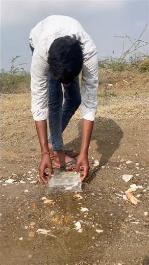 Jungale sarvaival bukkit