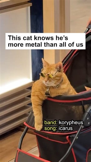 The Circle Pit on Reels