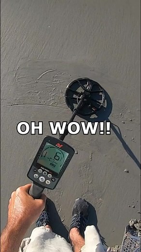 Check out these things I found when I was on the beach metal detecting, some cool stuff I dug up on the wet sand while I was trying to search for some lost treasure that people left behind for me to find #metaldetecting #beach #fyp