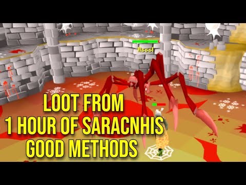 Loot Froom 1 Hours Of Sarachnis Best Methods For Make money Ep 11 Ferox RSPS