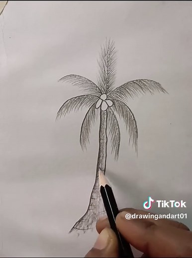 Step-by-Step Guide to Drawing a Coconut Tree