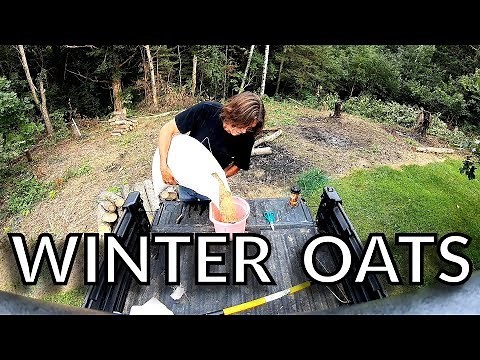 Planting Winter Oats