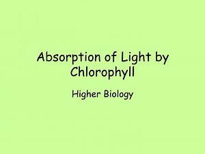 Absorption of Light by Chlorophyll - SlideServe
