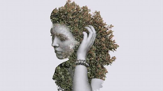 Trees Double Exposure Effect - Photoshop Tutorial