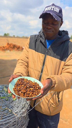 ISHWA KUMUSHA | Shelton & Charmaine