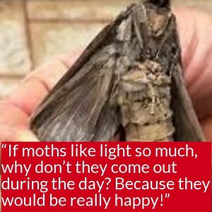 Some kids always ask- Why? When have kids stumped you or made you laugh with a great question? Hear some of the best from Robbie and Wendy. | ABC Sydney