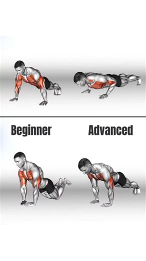 Upper Body Training for Chest, Back & Arms