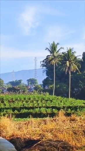 16K views · 34 reactions | Kok bisa ya!!! #fyp #palidrom #hiburan | Agus Setiawan | Facebook