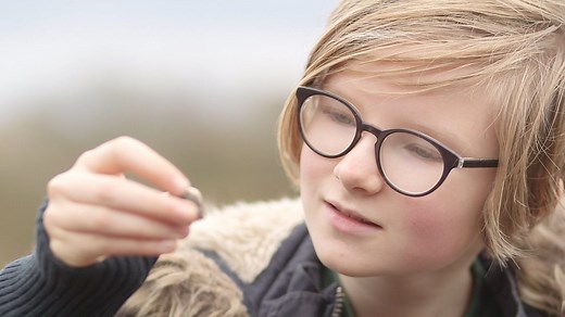 Timeline of life on Earth using fossils as evidence for Evolution