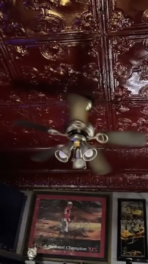 Ceiling fan falling down 159