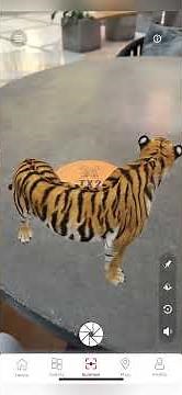 How to use the ARLOOPA app