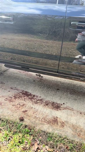 I would have got out and called an uber. Nope. Done. My anxiety could never. @Nicholas Fulcher on the other hand … 🤌🏻