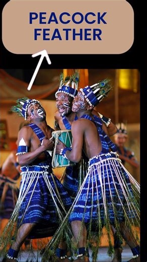 The Incredible Siddhi Tribe & Their Dhamal Dance