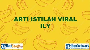 Apa Arti ILY, Istilah Viral di TikTok? Kata Populer Ini Kerap Dipakai Warganet di IG hingga Twitter - TribunTrends.com